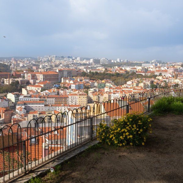 Cityscape view with red-roofed buildings, iron fence, and yellow flowers in foreground.
